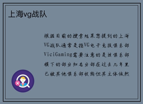上海vg战队